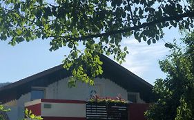 Apartma Tereza